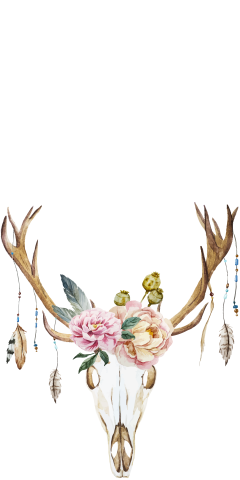 Totenkopf Aquarell mit Blumen und Federn