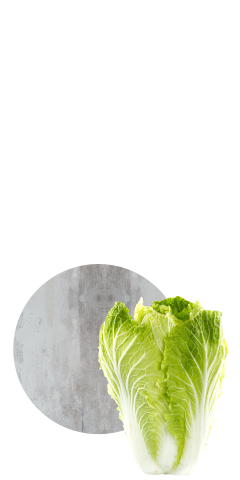 Gemüse Salatkopf