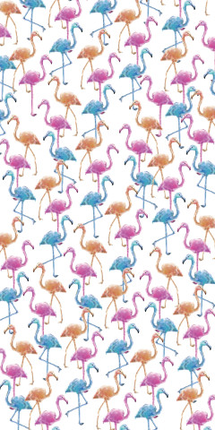 Flamingos orange-rosa-blau