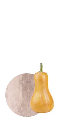 Gemüse Kürbis