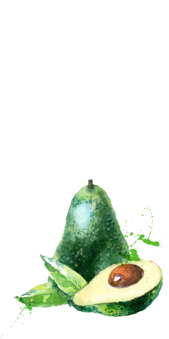 Avocado gemalt